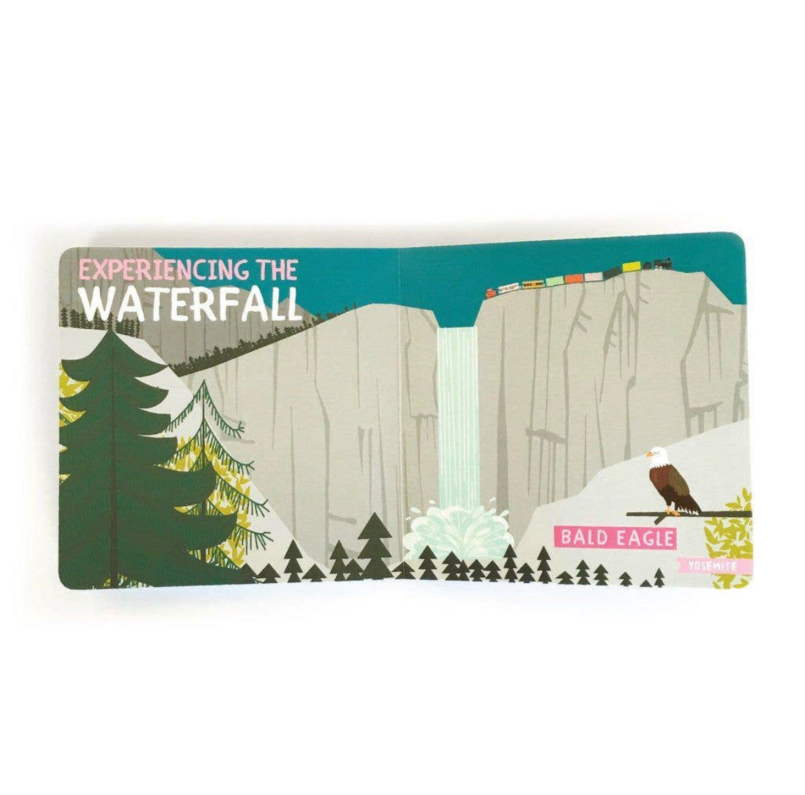 All Aboard National Parks - Cardboard Book